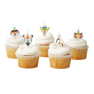 Party Animal Candles Pkg/5