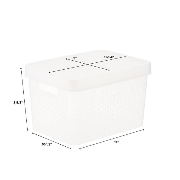 Curver Infinity Plastic Storage Boxes With Lids The Container Store 3027