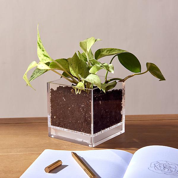 Russell Hazel Acrylic Planter 