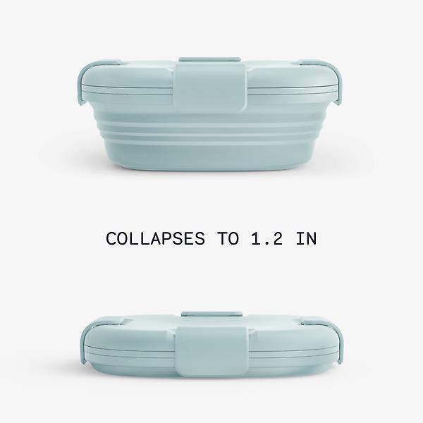 https://images.containerstore.com/catalogimages/481869/600x600xcenter/10093514-24-oz-collapsible-sandwich-.jpg