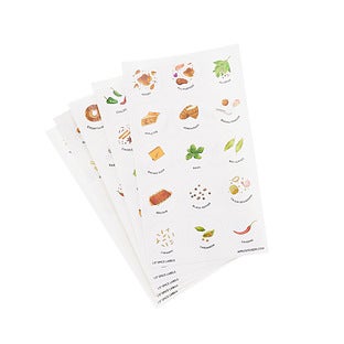 Illustrated Spice Labels Pkg/75 | The Container Store