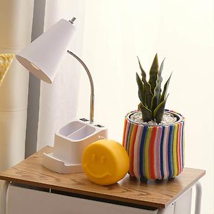 Dormify Charging Catchall Lamp