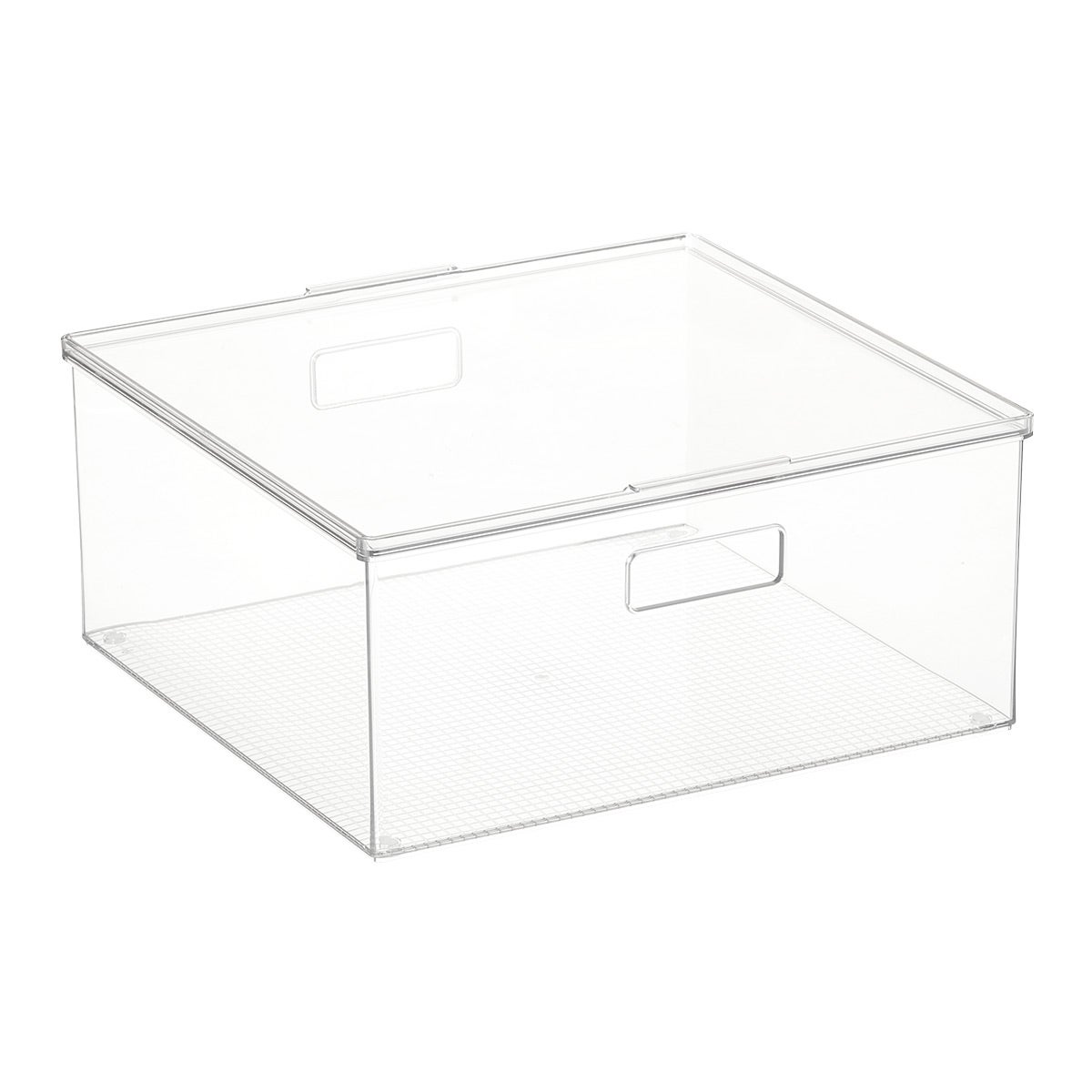 Everything Organizer Large Box w/Lid Clear