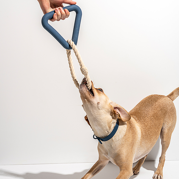 Wild One Triangle Tug Dog Toy in Moonstone at Urban Outfitters - Yahoo  Shopping