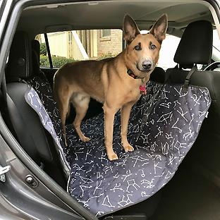 molly mutt Car Seat Cover