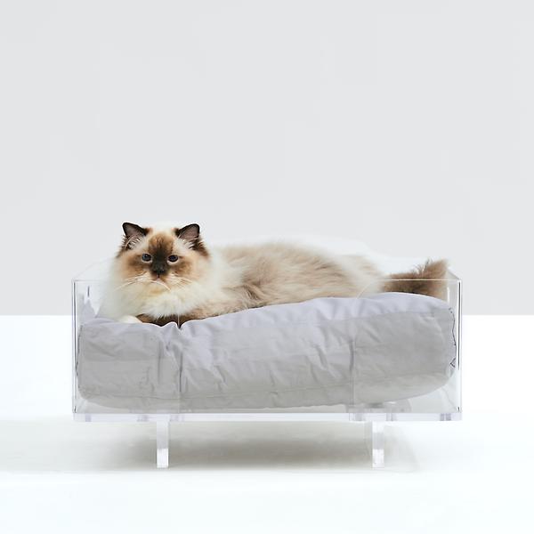 Hiddin Clear Rectangular Lucite Dog Bed | The Container Store