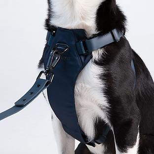 Diggs Classic Harness