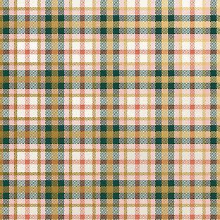 Green & White Large Plaid Wrapping Paper