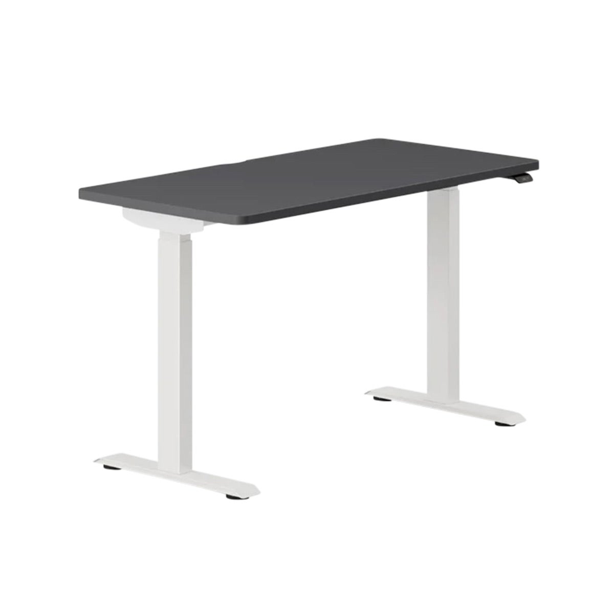 Branch Duo Standing Desk Charcoal/White Base