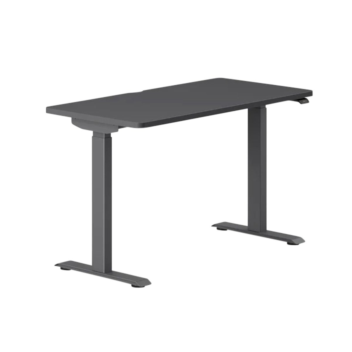 Branch Duo Standing Desk Charcoal
