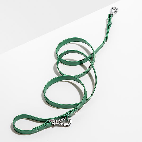 Wild hotsell one leash