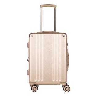 CALPAK Ambeur Carry-on Luggage