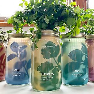 Modern Sprout Organic Herbs Garden Jar