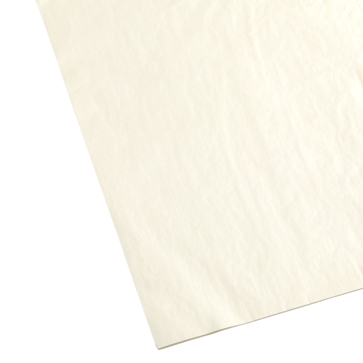 Metallic Pearl Tissue Pack of 20