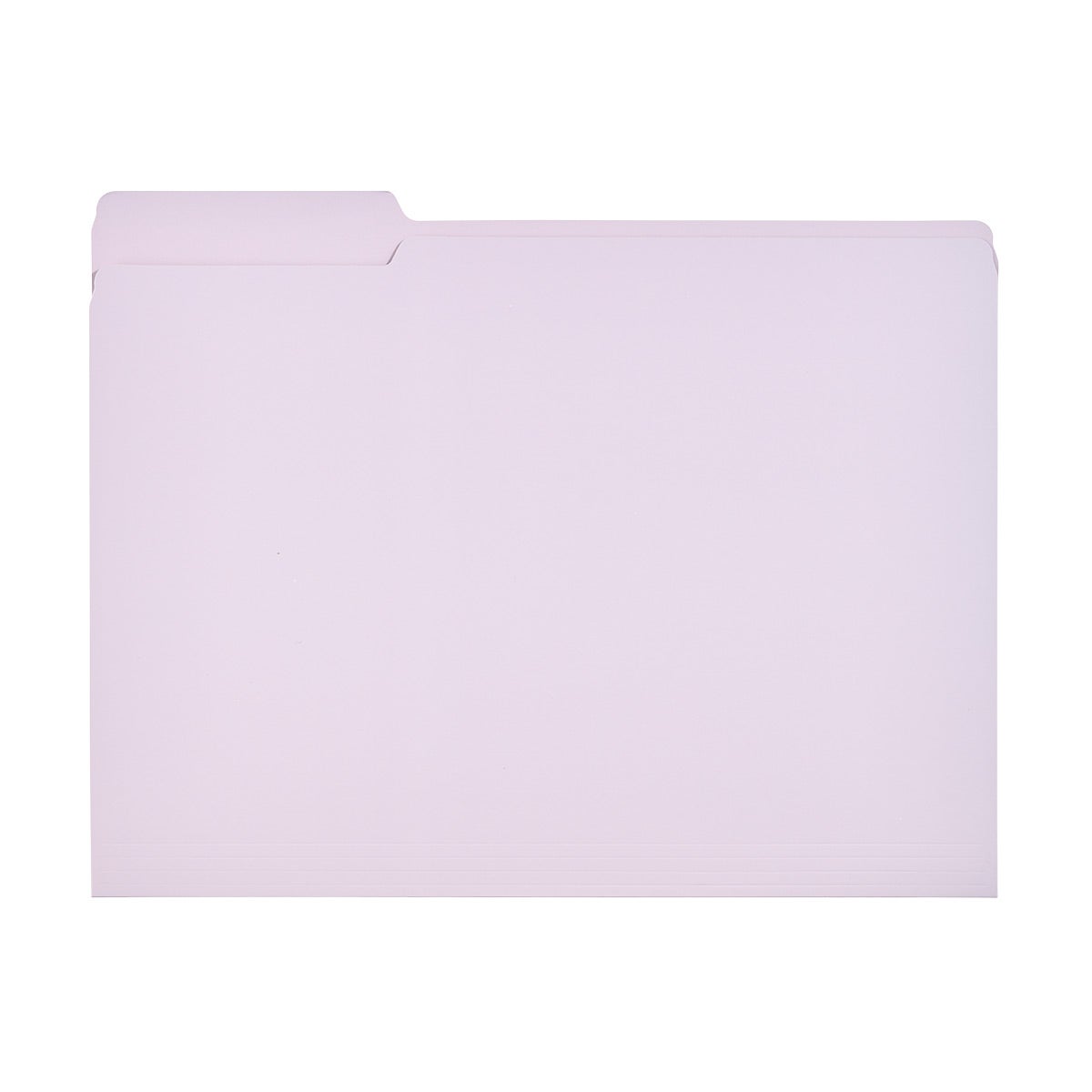 The Container Store Letter-Size Interior File Folder Lilac Pkg/6