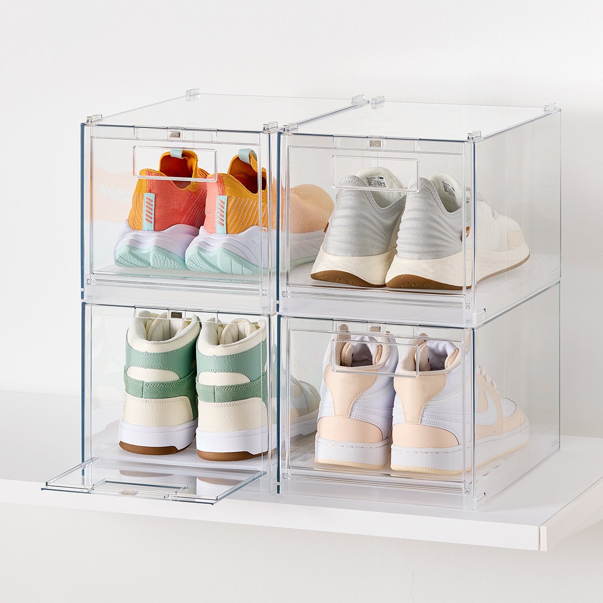 10101694-everything-organizer-