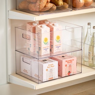 Everything Organizer All-Purpose Bin