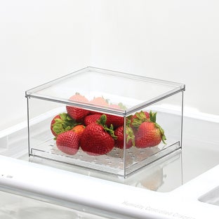 Everything Organizer Berry Bin with Tray