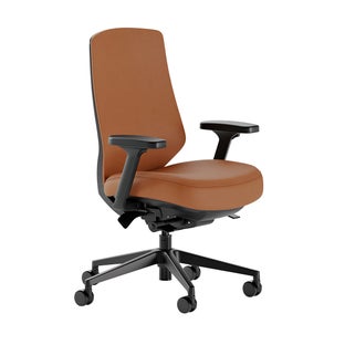 Branch Ergonomic Chair Pro