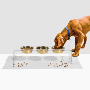 hiddin Triple Bowl Pet Feeder with Gold Bowls