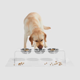 hiddin Triple Bowl Pet Feeder with Silver Bowls