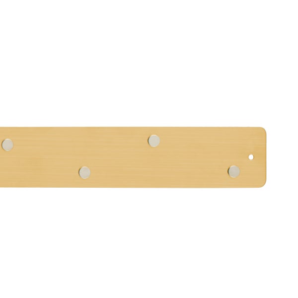 Mini Magnetic Strip