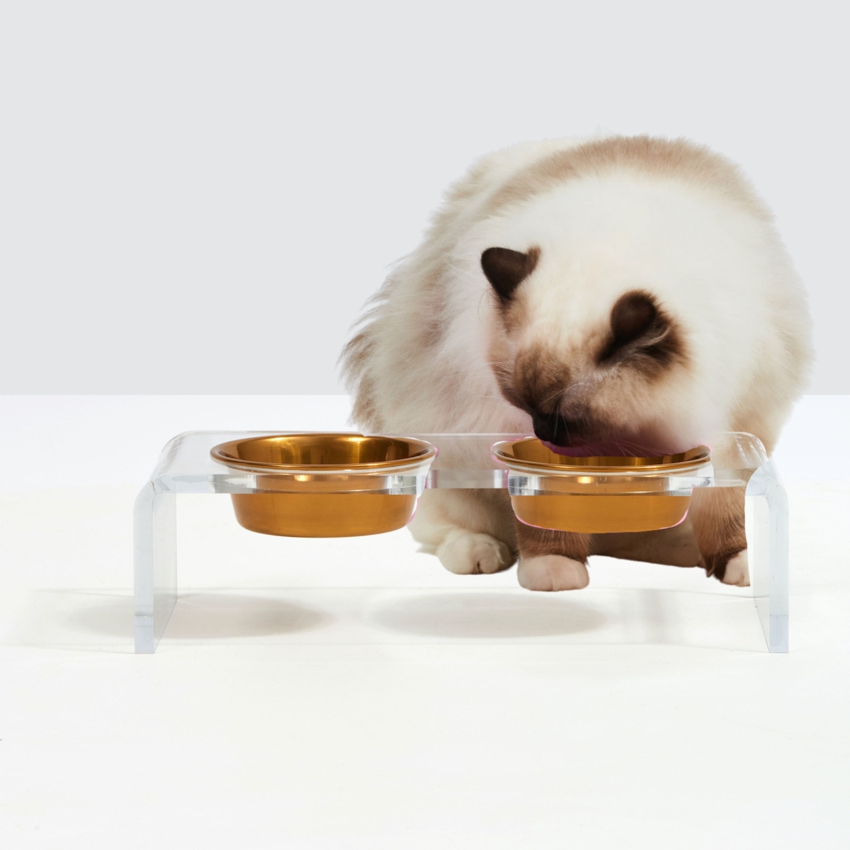 hiddin Small Clear Elevated Feeder with Gold Bowls