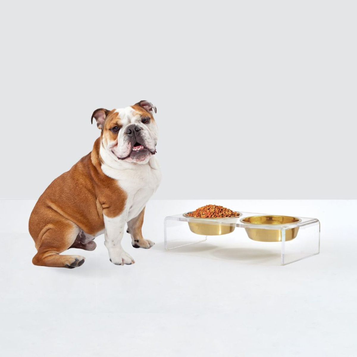 hiddin Small Double Bowl Pet Feeder with Gold Bowls