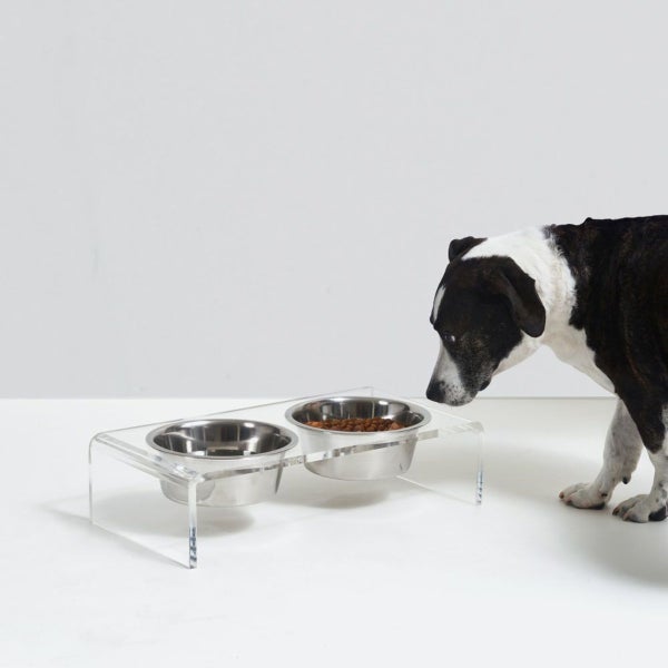 hiddin Small Double Bowl Pet Feeder with Silver Bowl