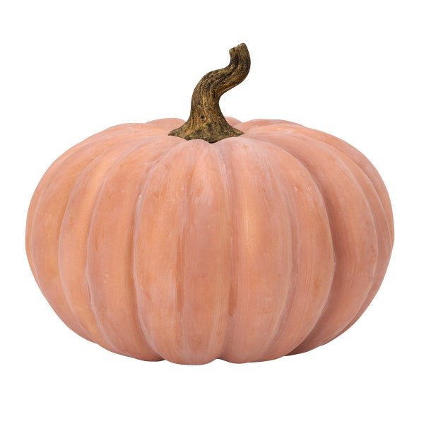 Realistic Pumpkin