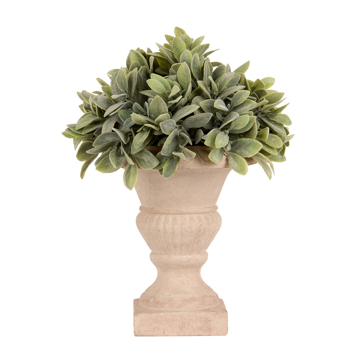 12IN Boxwood Urn Ivory