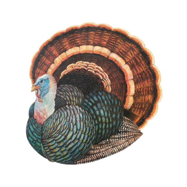 Hester & Cook Die Cut Turkey Placemat
