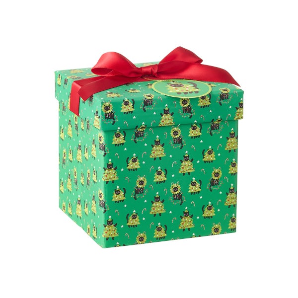 Gartner Studios 2-Piece Cat Gift Box