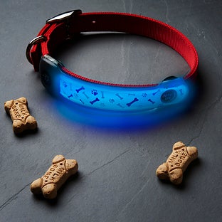 Nite Ize NiteDog Disc-O Select Led Collar Cover
