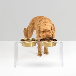 hiddin™ Extra Large Overflow Feeding Tray Clear