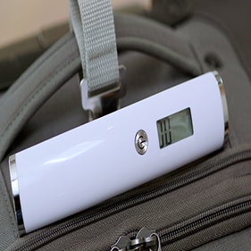 2Handed Luggage Scale The Container Store